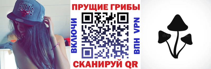 OMG как войти  Ардон  Галлюциногенные грибы мицелий 